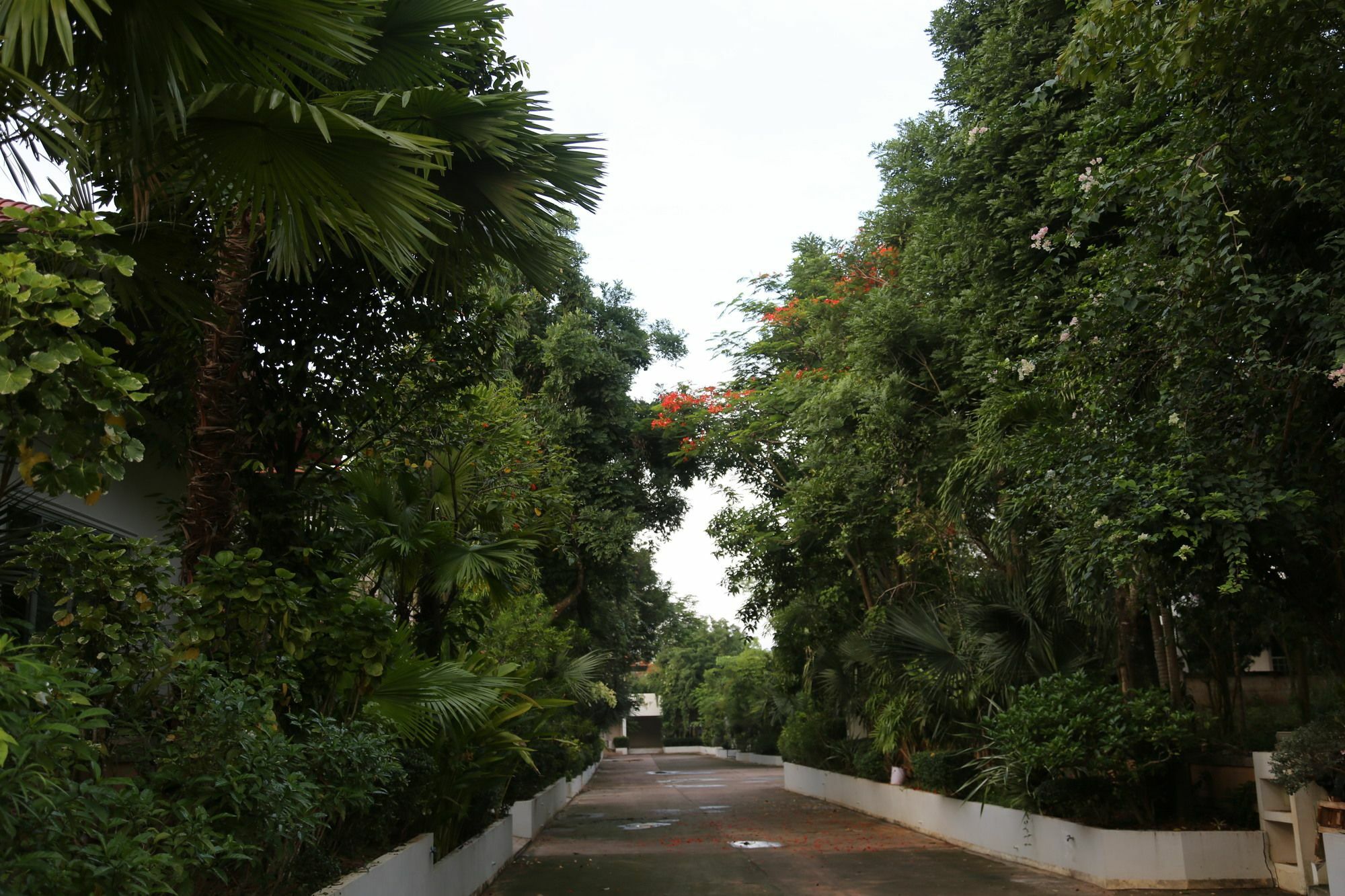 Scenxury Resort Pattaya Exterior foto